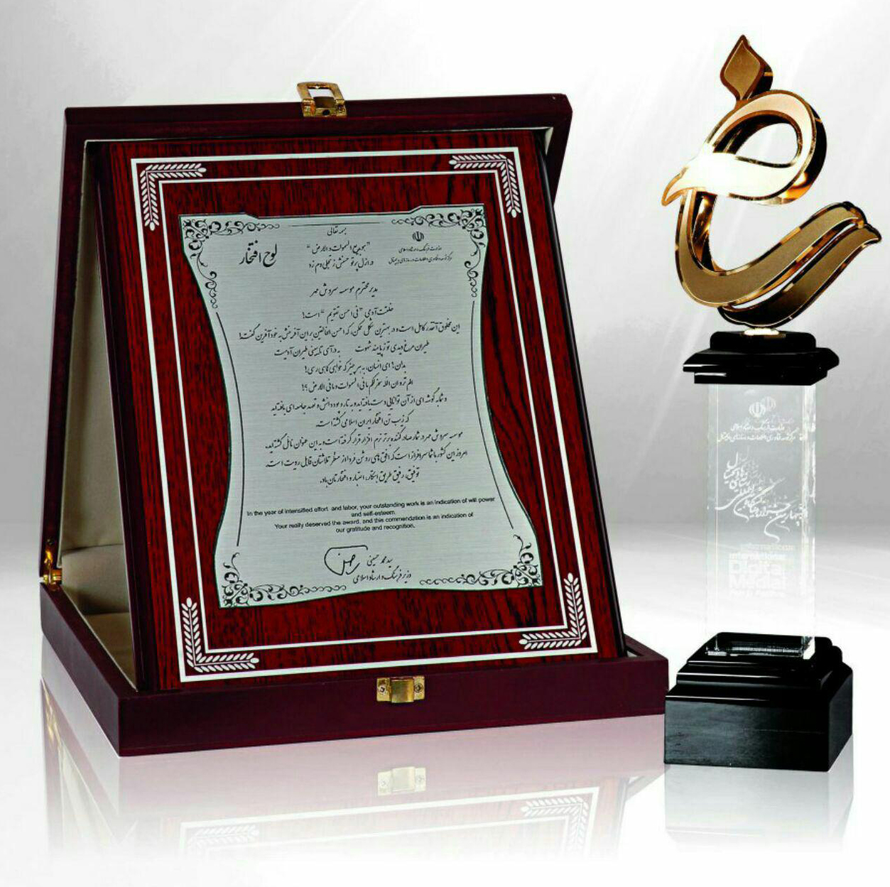 soroushmehr-award